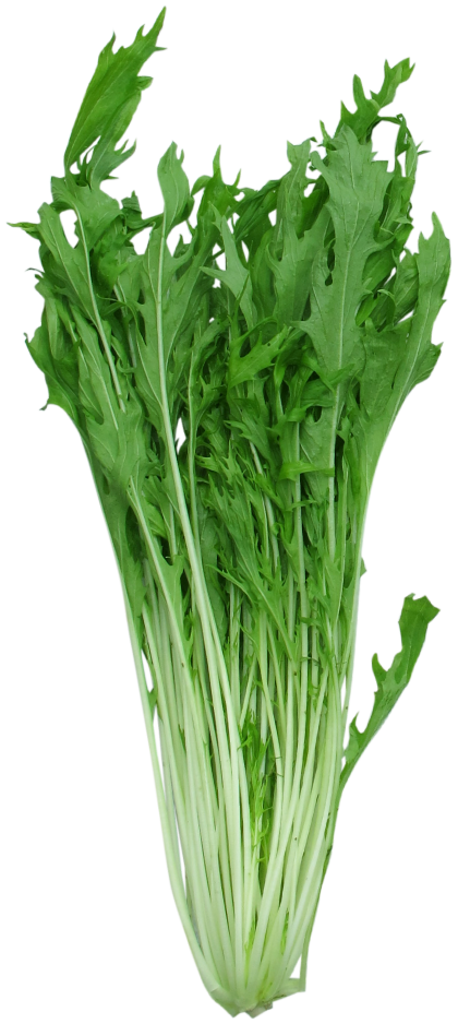 水菜
