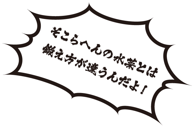 そこらへんの水菜とは鍛え方が違うんだよ！