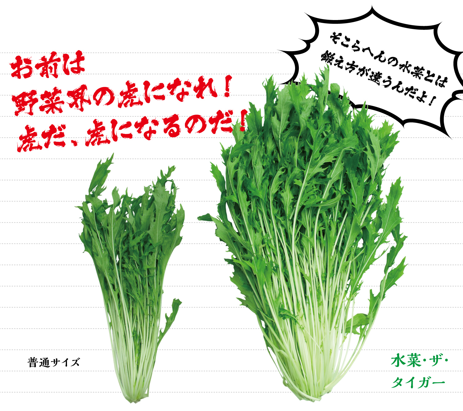 お前は野菜界の虎になれ！虎だ、虎になるのだ！