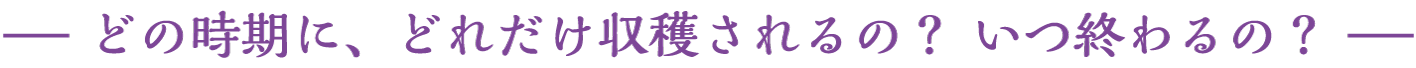どの時期に、どれだけ収穫されるの？いつ終わるの？
