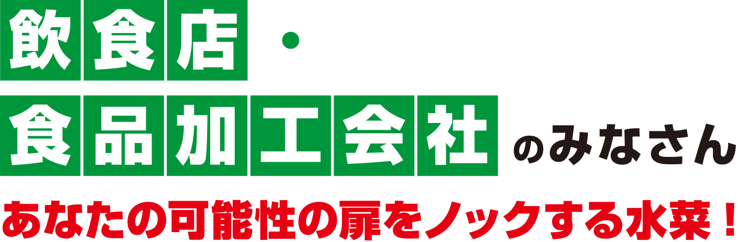 飲食店。食品加工会社のみなさん。あなたの可能性の扉をノックする水菜!