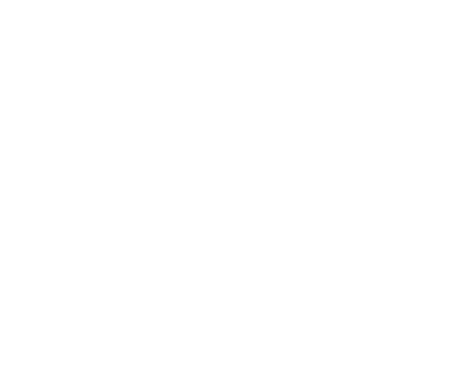 とっぽい農園の【水菜・ザ・タイガー】〜メガトン水菜〜