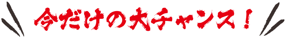 今だけの大チャンス!