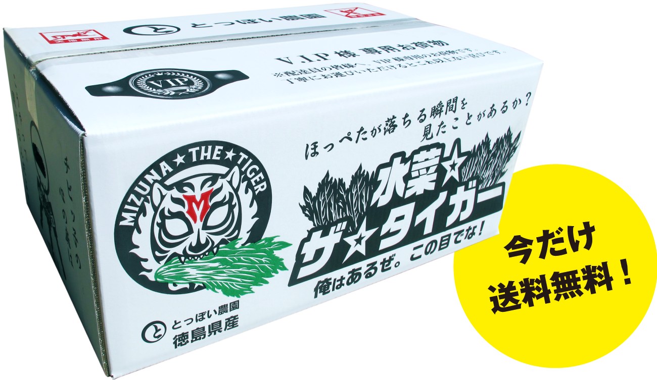 水菜☆ザ☆タイガーお試しセット（1回限り） 今だけ送料無料