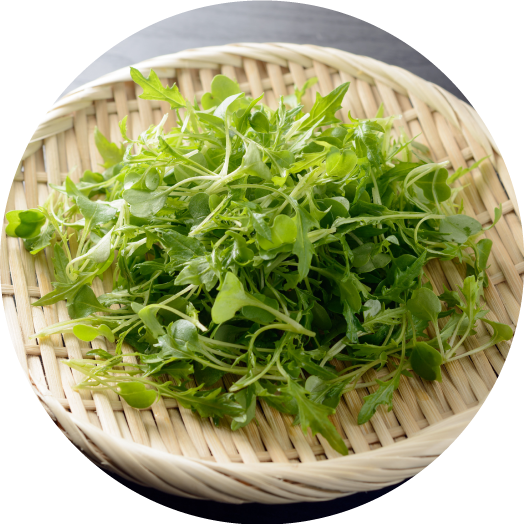 水菜☆ザ☆タイガーのここが凄い